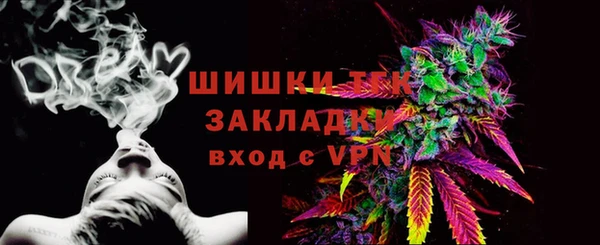 соль ск Болотное